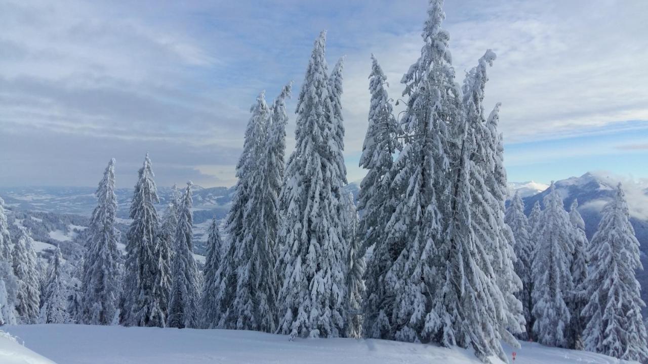 Ferienhaus Berghalde Schwarzenberg im Bregenzerwald Dış mekan fotoğraf